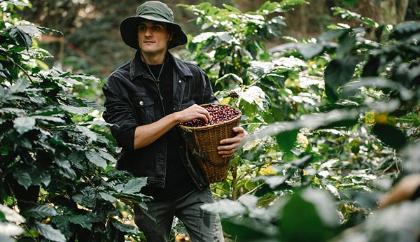 visit a coffee plantation